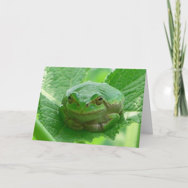 Cartão Sapo de sorriso verde - ascendente próximo (Frente)
