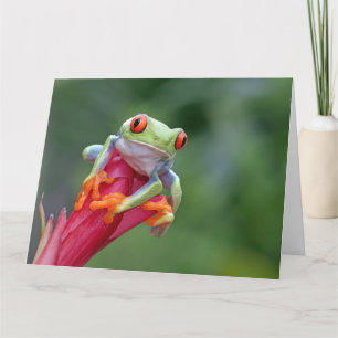 Cartão Sapo de Texto Personalizado