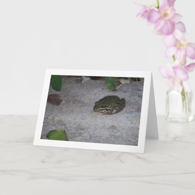 Cartão Sapo ibérico (Orquídea)