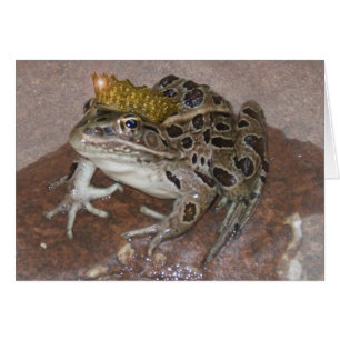 Cartão Sapo Prince