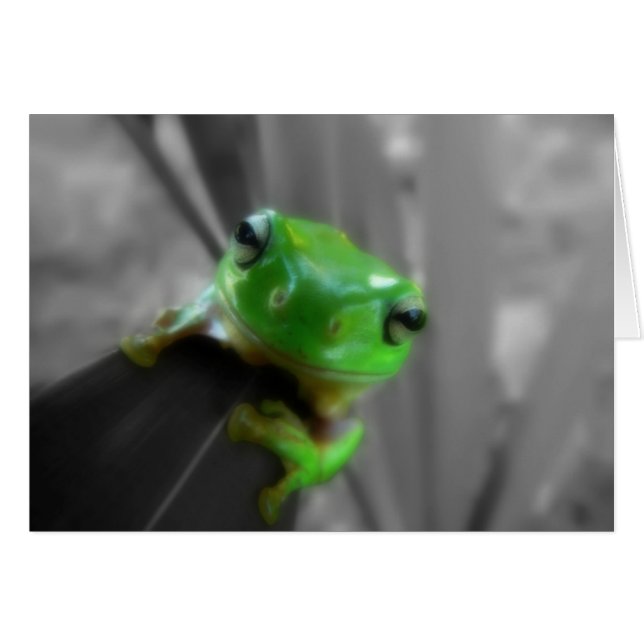 Cartão Sapo Verde brilhante (Frente Horizontal)