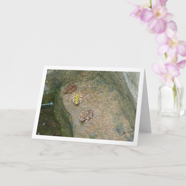 Cartão Sapos ibéricos (Orquídea)