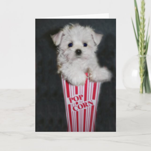 Cartão Saudação à Noite do Filme (Frente)