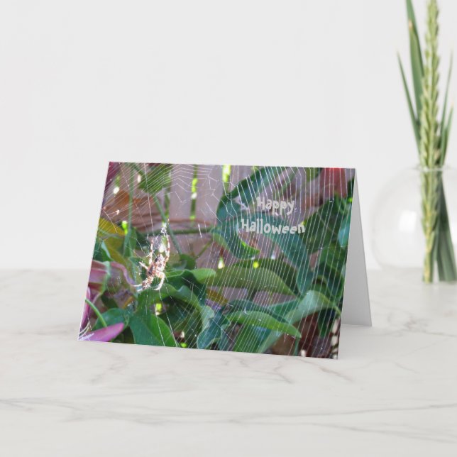 Cartão - Saudação - Aranha na Web (Frente)
