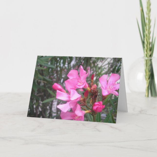 Cartão Saudação da Flor Roxa (Frente)
