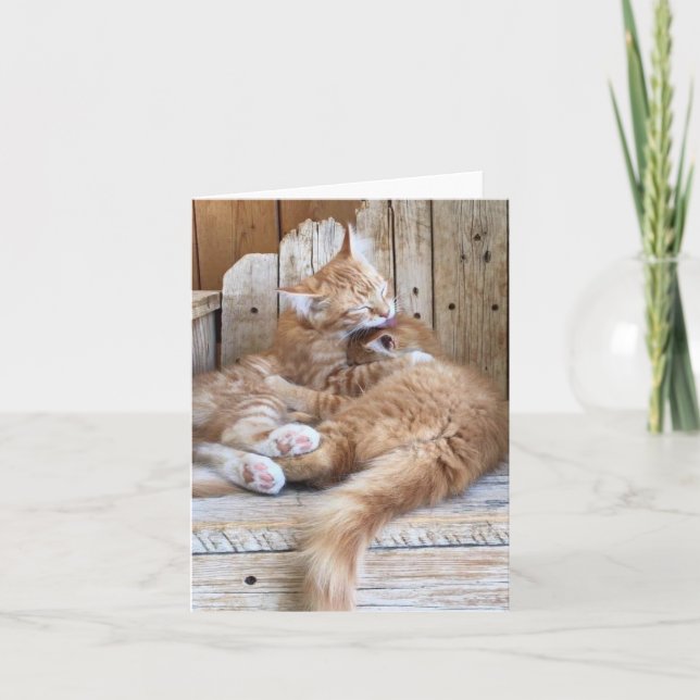 Cartão Saudação de Amor de Gatinhos (Frente)
