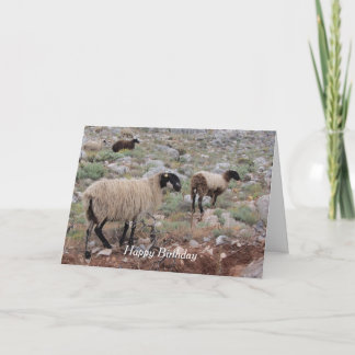 Cartão Saudação de Aniversário do Wild Goats
