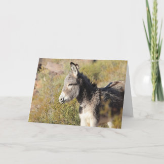 Cartão Saudação de Burro Selvagem