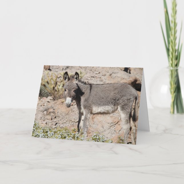 Cartão Saudação de Burro Selvagem (Frente)