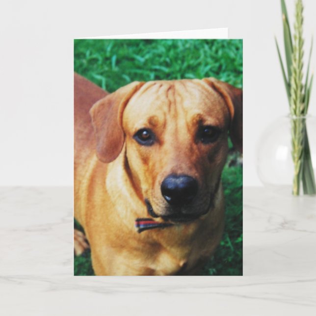 Cartão Saudação personalizada de fotos (Frente)