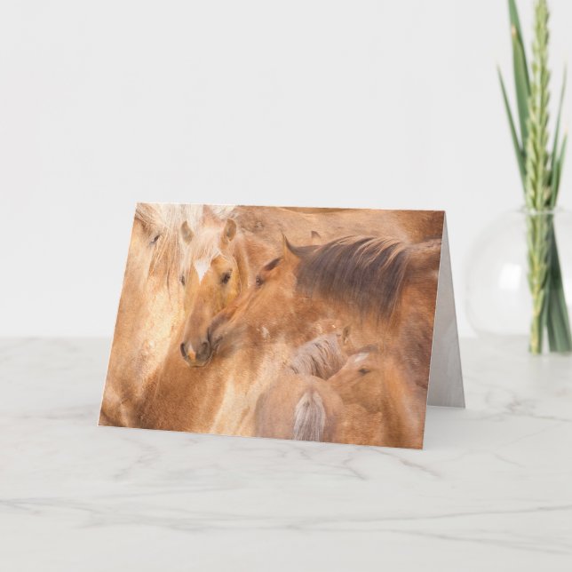 Cartão Saudação Rise de Bolder (Frente)