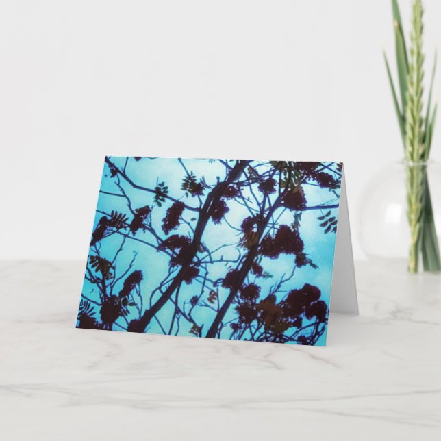 Cartão Saudações (Frente)