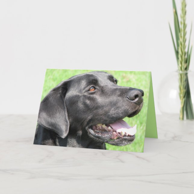 Cartão Saudações (Frente)