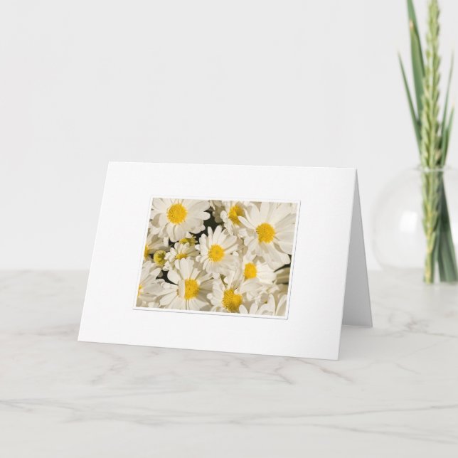 Cartão Saudações bonito Daisy (Frente)