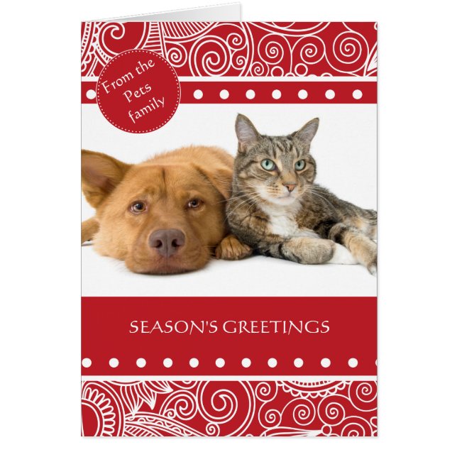 Cartão Saudações da Floresta da Selva (Frente)