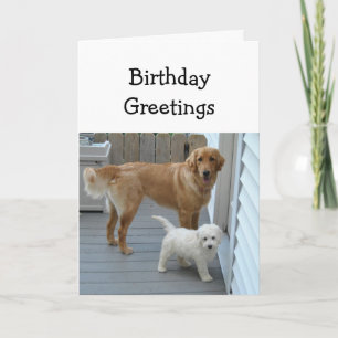 Cartão Saudações de Aniversário do Grupo Humor de Cachorr