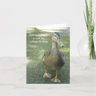 Cartão Saudações de Aniversário do Pato Vagabundo