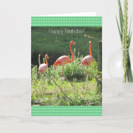 Cartão Saudações de aniversário dos Flamingos Rosa