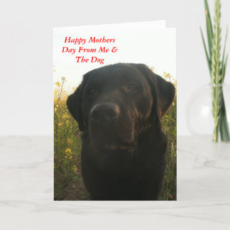 Cartão Saudações de dia de as mães