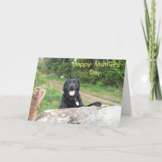 Cartão Saudações de Dia de as mães