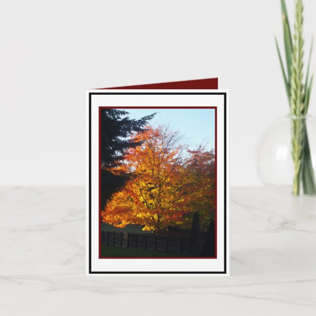 Cartão Saudações de Outono (Frente)