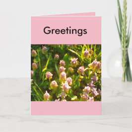 Cartão Saudações de Primavera Favoritos