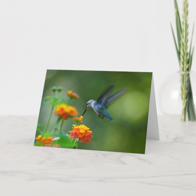 Cartão Saudações! De Um Hummer De Verão! (Frente)