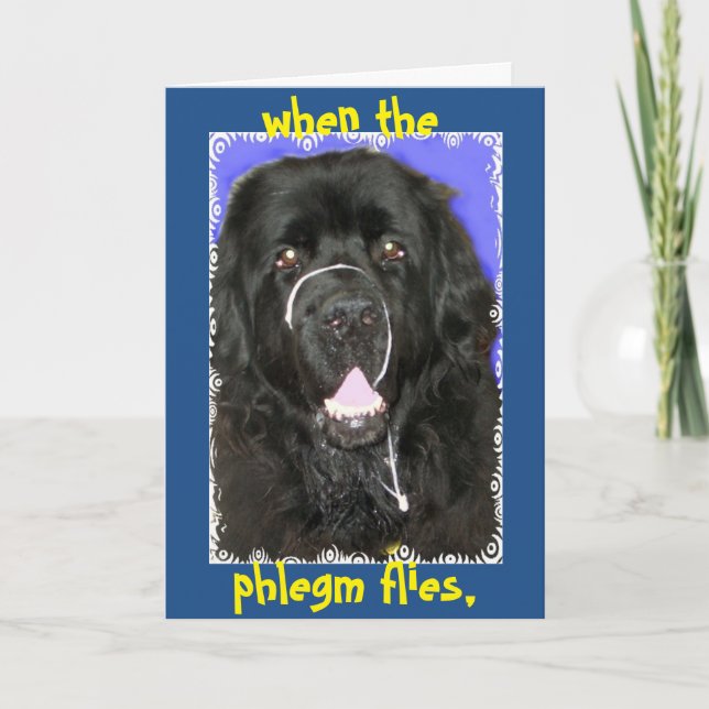 Cartão Saudações - Terra Nova (Frente)