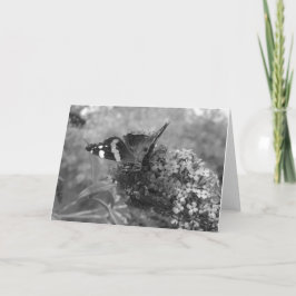 Cartão Saudável - Borboleta Almirante em Preto e B