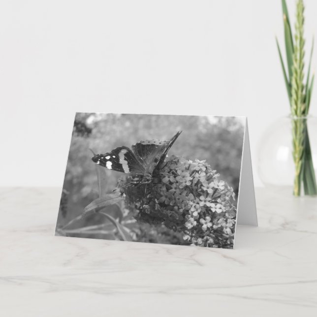 Cartão Saudável - Borboleta Almirante em Preto e B (Frente)