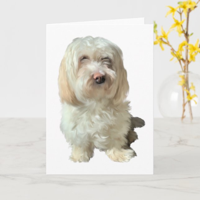 Cartão Saudável Cão Havanês (Flor Amarela)