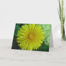 Cartão Saudável - Dandelion