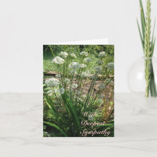 Cartão Saudável - Simpatia