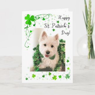 Cartão Saúde e felicidade de Westie do dia de St Patrick