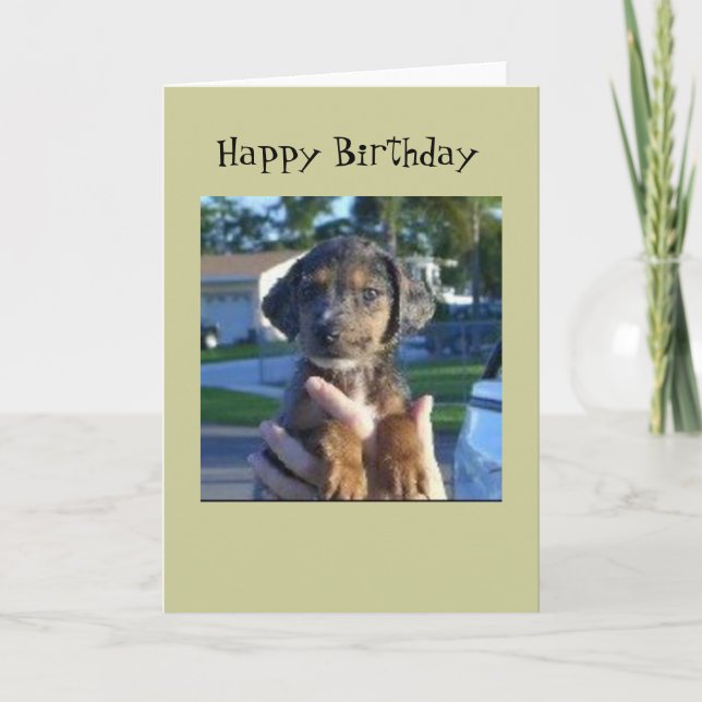 Cartão Savana (Frente)