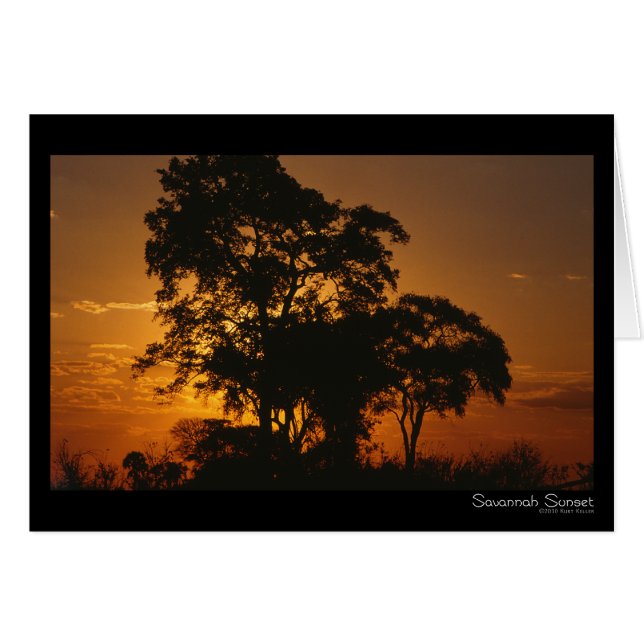 Cartão Savannah Sunset Card (Frente horizontal)