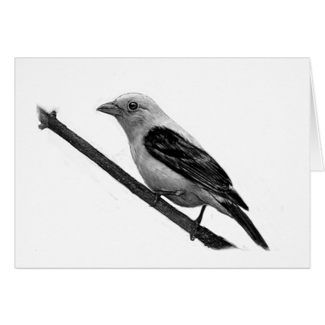 Cartão Scarlet Tanager (Frente Horizontal)