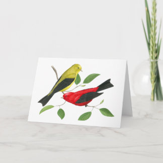 Cartão Scarlet Tanager Wildlife Art Card