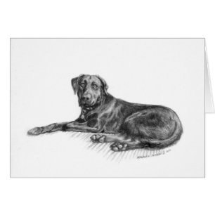 Cartão Scarlett o laboratório preto