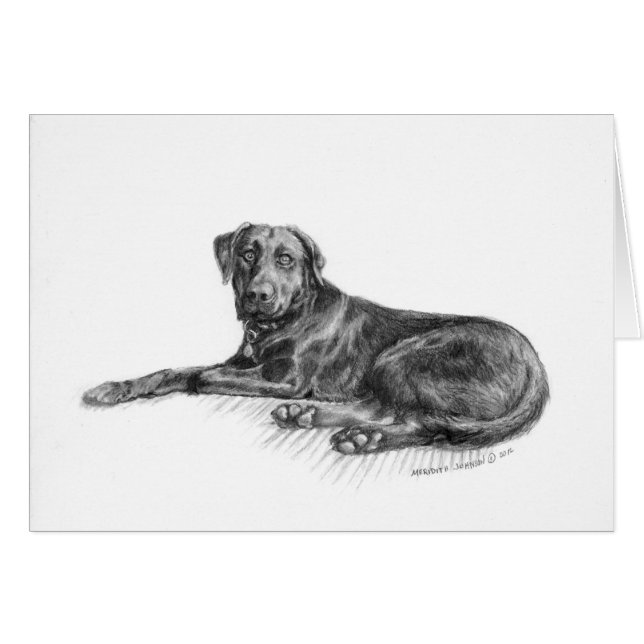 Cartão Scarlett o laboratório preto (Frente Horizontal)