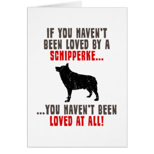 Cartão Schipperke