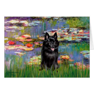 Cartão Schipperke 4 - Lírios 2