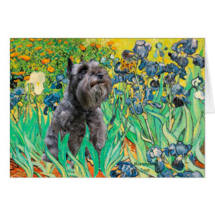Cartão Schnauzer 12 - Irrises