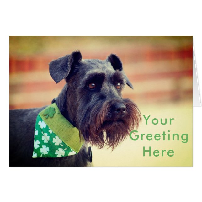 Cartão Schnauzer diminuto preto (Frente Horizontal)