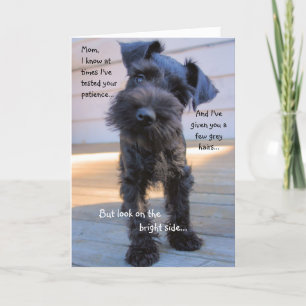 Cartão Schnauzer Mother's Day Greeting Card