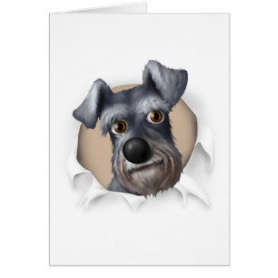 Cartão Schnauzer que rebenta para fora
