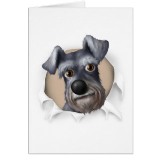 Cartão Schnauzer que rebenta para fora