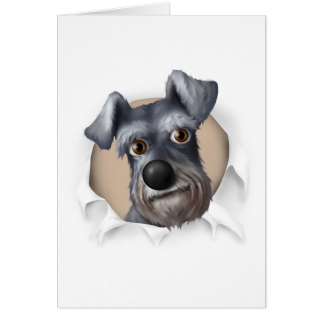 Cartão Schnauzer que rebenta para fora (Frente)