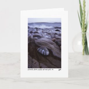 Cartão Schoodic shore photo card