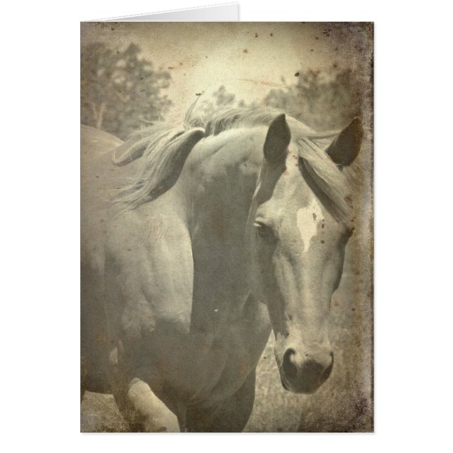 Cartão Scotch Faux Vintage (Frente)